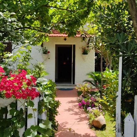 La Corte Delle Rose B&B Praia a Mare Dış mekan fotoğraf