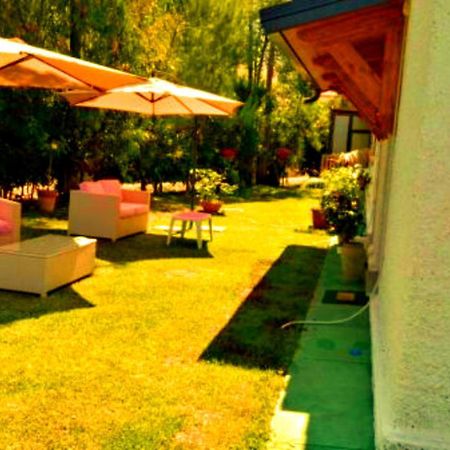 La Corte Delle Rose B&B Praia a Mare Dış mekan fotoğraf