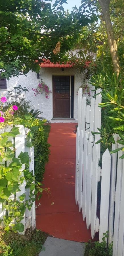 La Corte Delle Rose B&B Praia a Mare Dış mekan fotoğraf