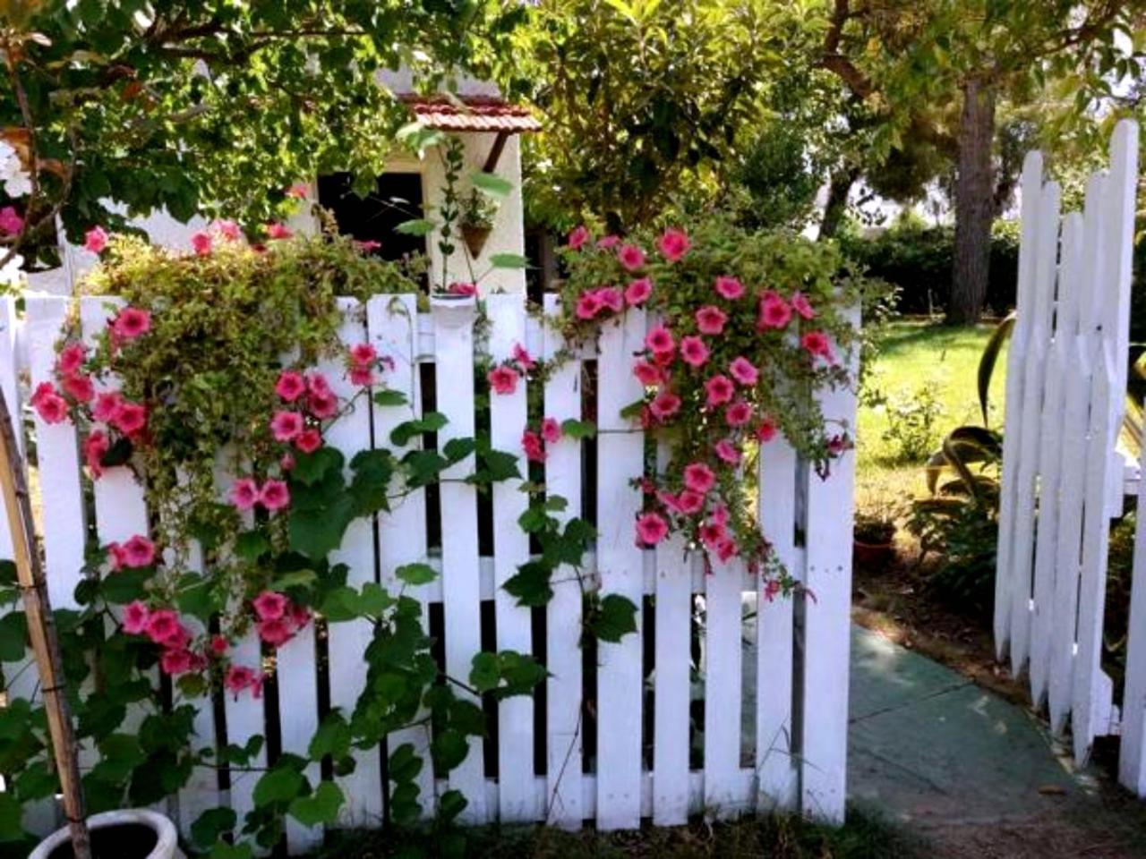 La Corte Delle Rose B&B Praia a Mare Dış mekan fotoğraf