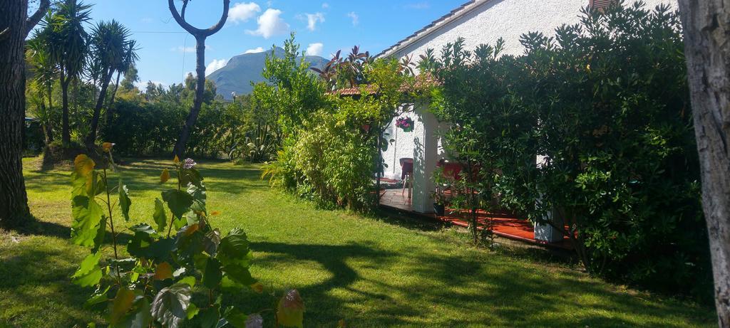 La Corte Delle Rose B&B Praia a Mare Dış mekan fotoğraf