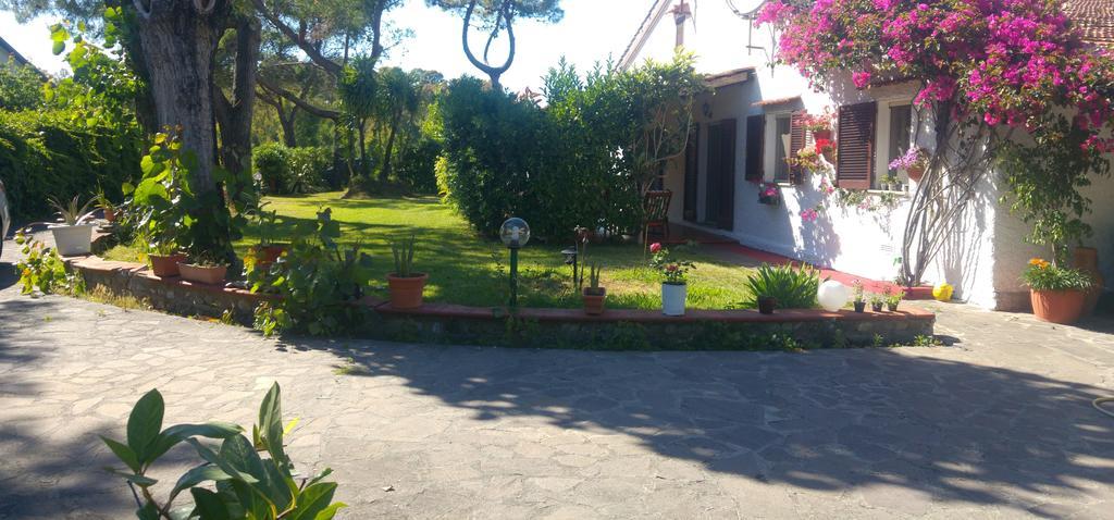 La Corte Delle Rose B&B Praia a Mare Dış mekan fotoğraf