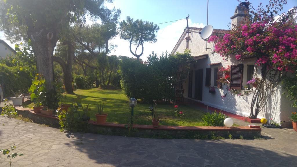 La Corte Delle Rose B&B Praia a Mare Dış mekan fotoğraf