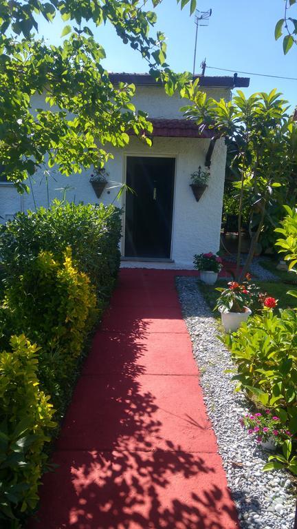 La Corte Delle Rose B&B Praia a Mare Dış mekan fotoğraf