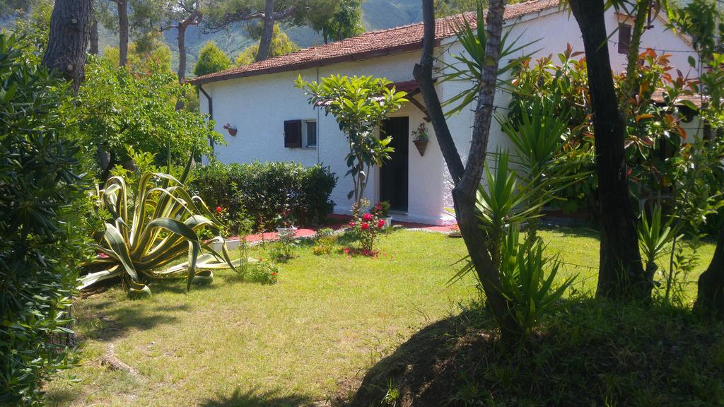 La Corte Delle Rose B&B Praia a Mare Dış mekan fotoğraf