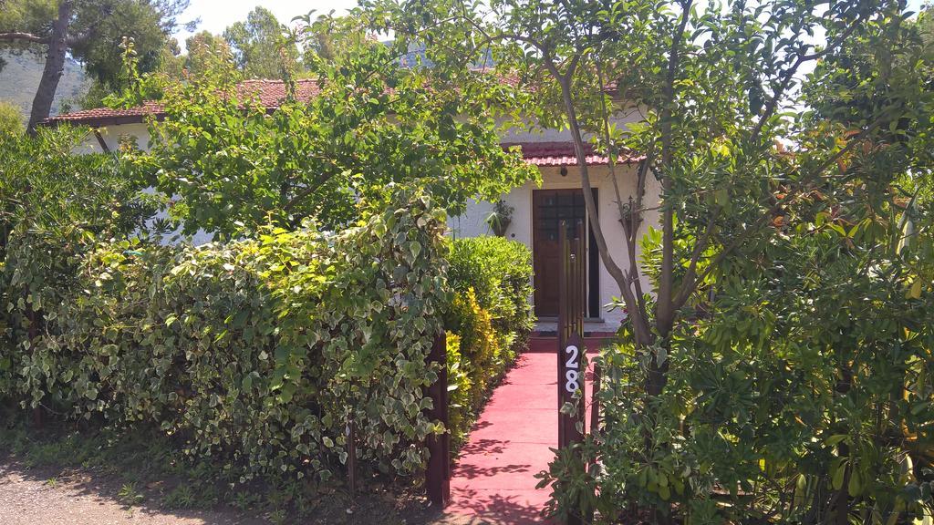 La Corte Delle Rose B&B Praia a Mare Dış mekan fotoğraf