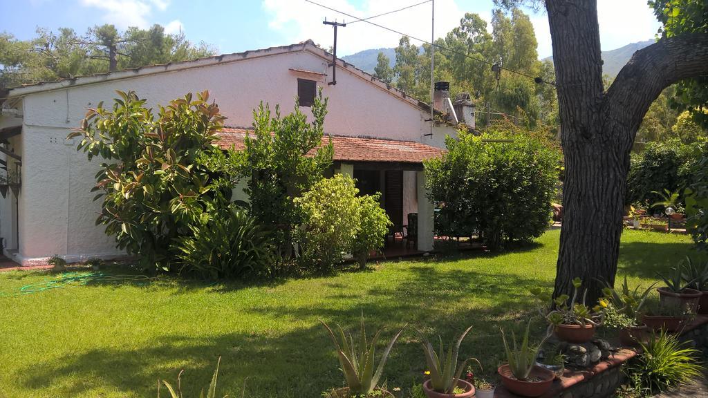 La Corte Delle Rose B&B Praia a Mare Dış mekan fotoğraf