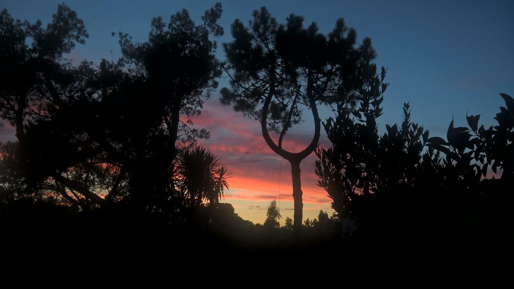La Corte Delle Rose B&B Praia a Mare Dış mekan fotoğraf