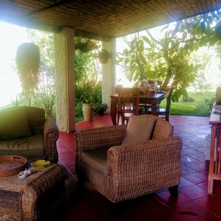 La Corte Delle Rose B&B Praia a Mare Dış mekan fotoğraf