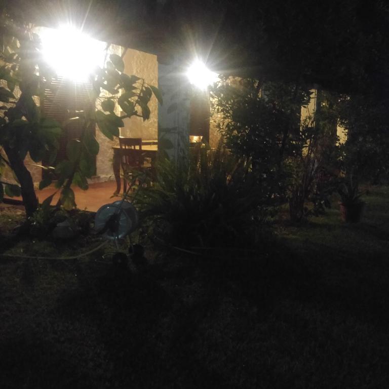 La Corte Delle Rose B&B Praia a Mare Dış mekan fotoğraf