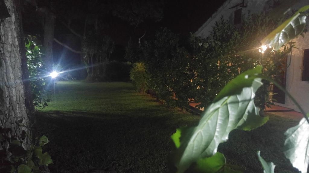 La Corte Delle Rose B&B Praia a Mare Dış mekan fotoğraf